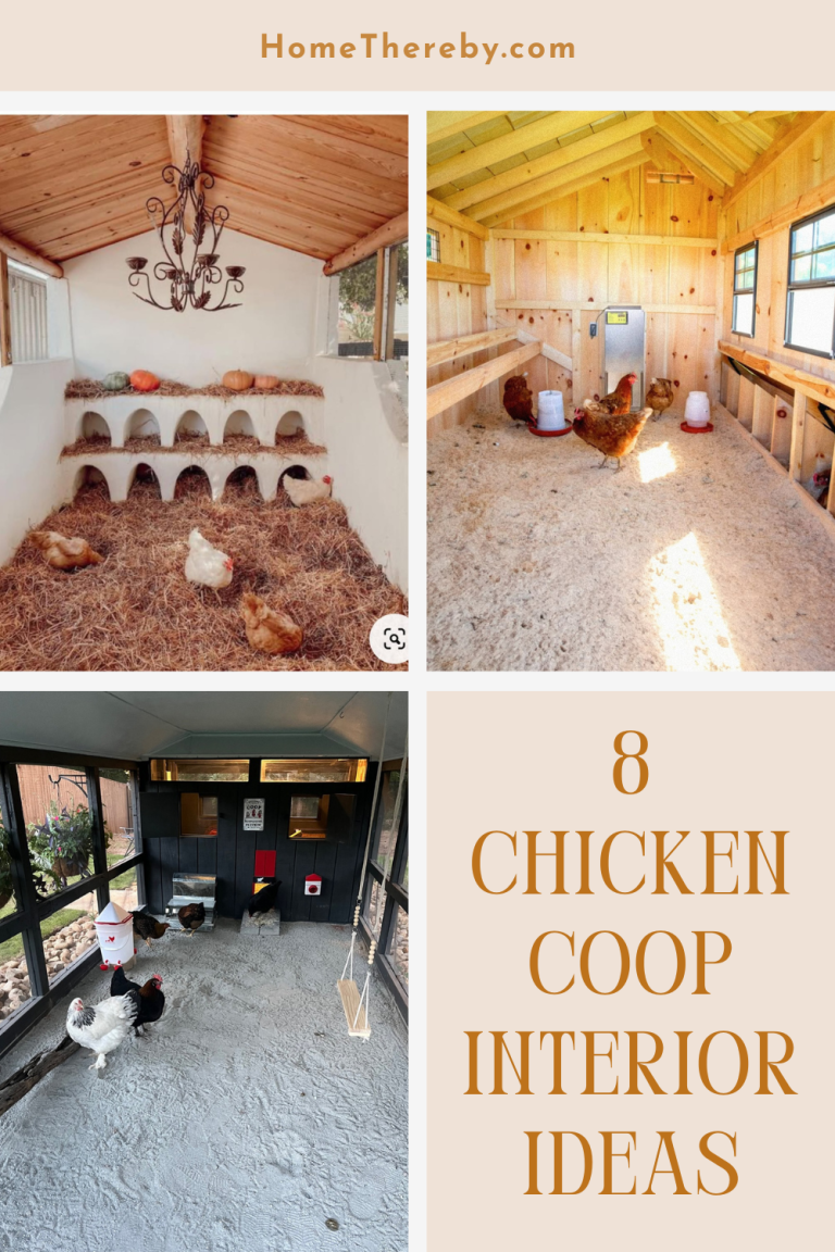 8 Chicken Coop Interior Ideas: Easy Cleaning & Care