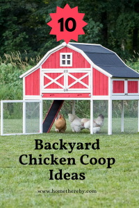 10 Backyard Chicken Coop Ideas That Keep Hens Happy